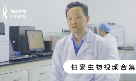视频合集 | 伯豪生物