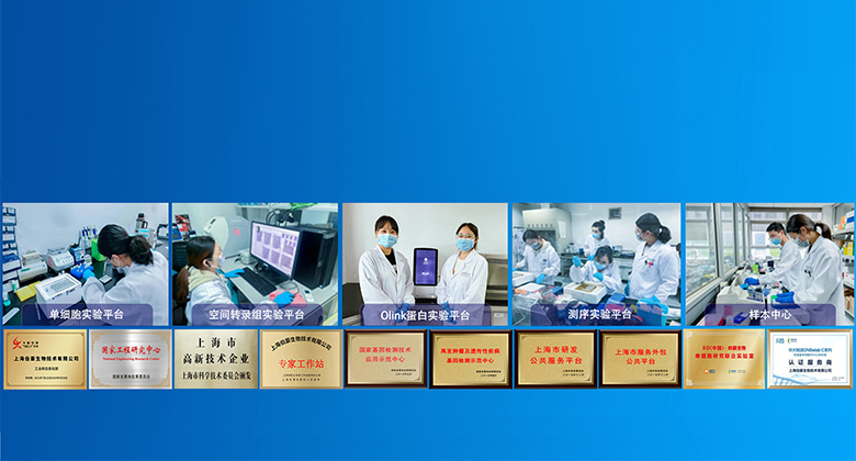 伯豪生物 服务科技创新，护航人类健康！www.shbio.com